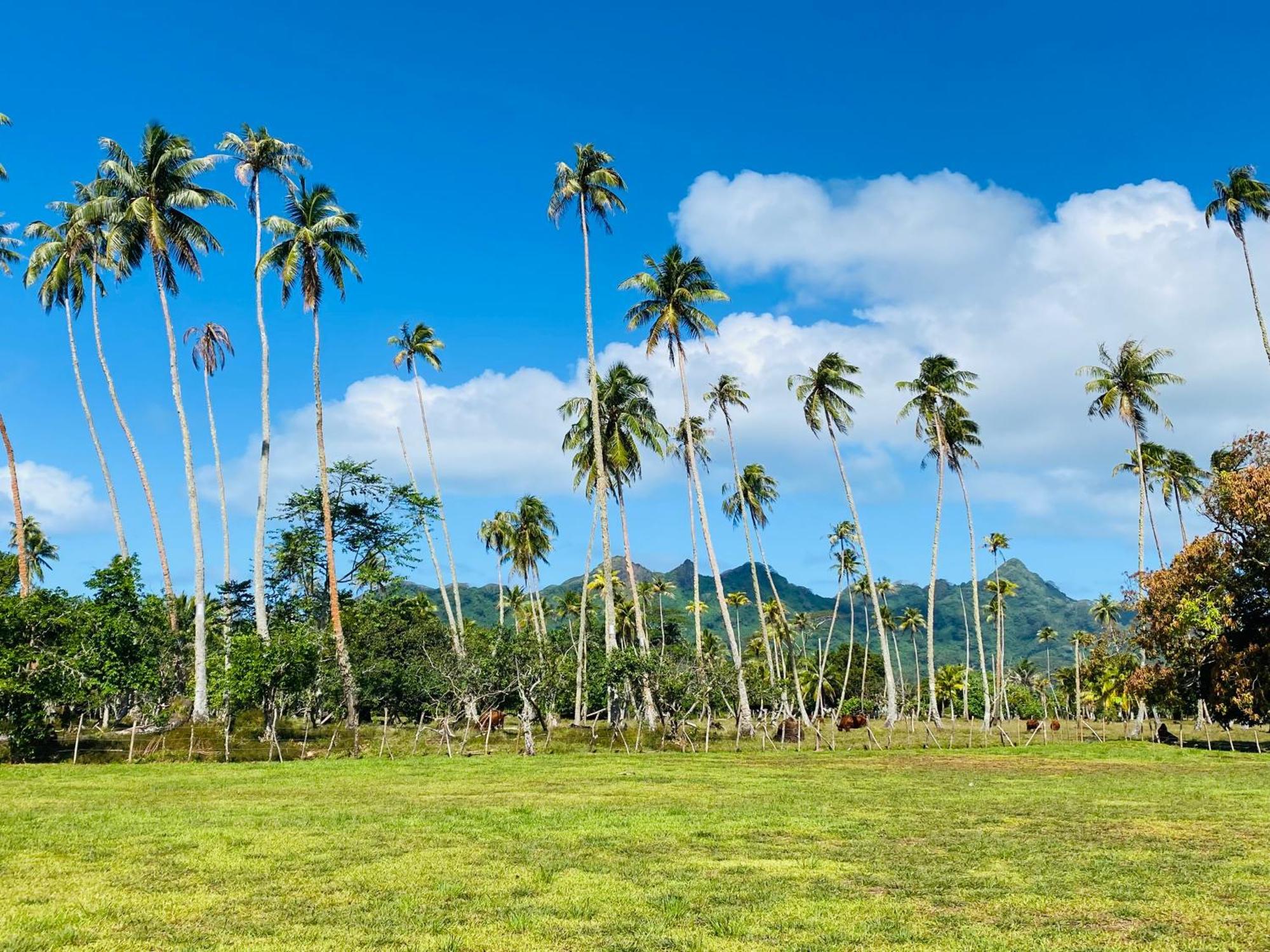 Huahine Serenity Cottage Maroe Εξωτερικό φωτογραφία